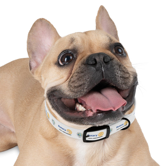 PET COLLAR